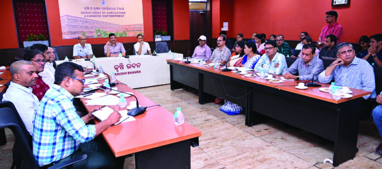 Shree Anna Yojana