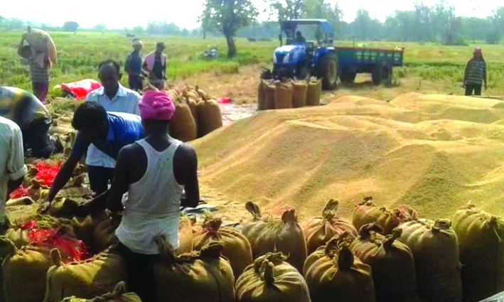 Inter minestrial meeting on Paddy procurement