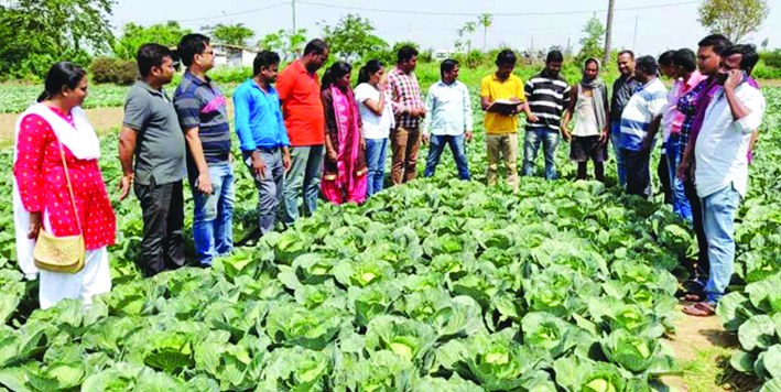Odisha Agri officers field visit