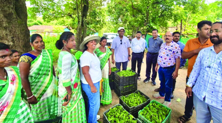 Agri production cluster