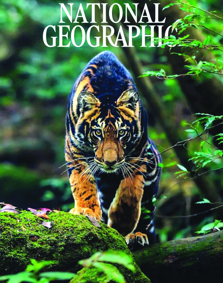 Black Tiger in National Geographic Chenel cover page