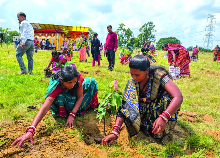 Panchayatiraj plantation