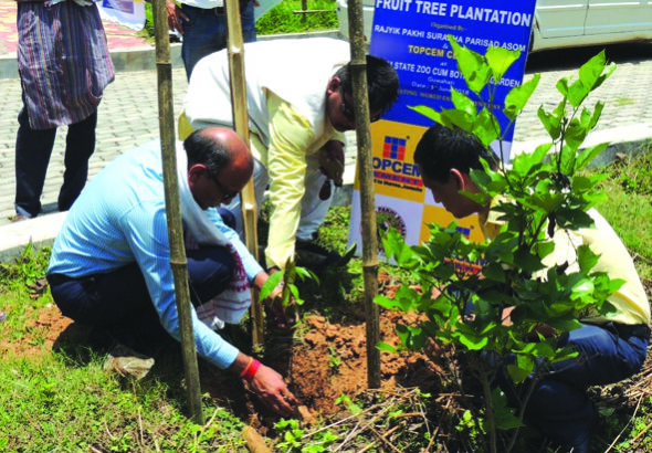 Plantation in agri office premises