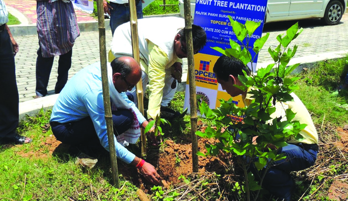 Plantation in agri office premises