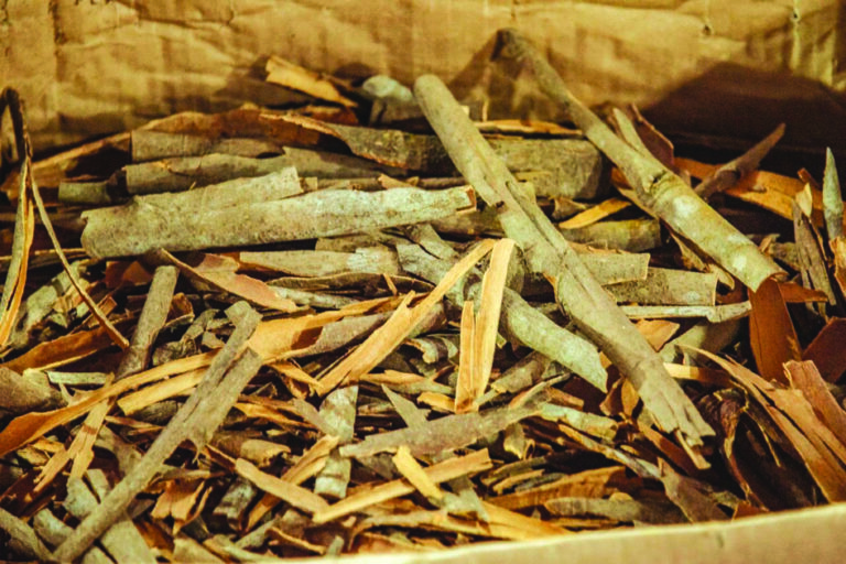 Spces demand in Subhadra Shakti Mela