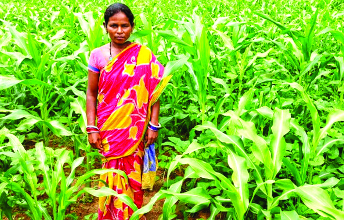 Inclusive agriculture in Odisha