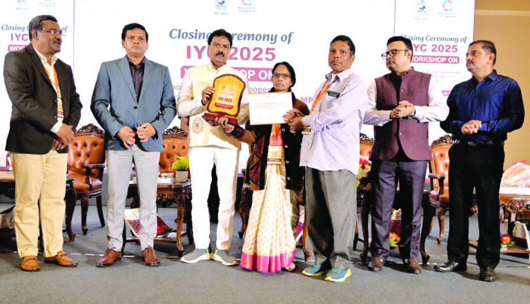 International CoooperativeYear closing ceremony