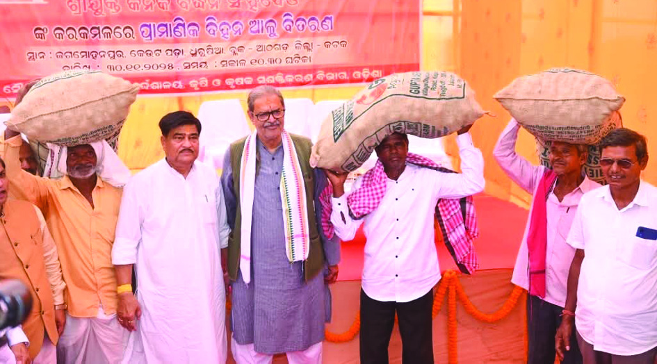 Potato seed distribution