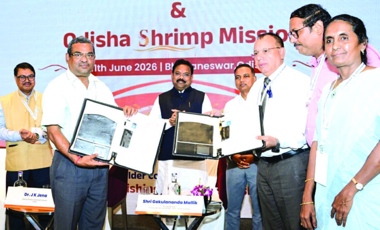 Deep Sea fishing Mission Workshop