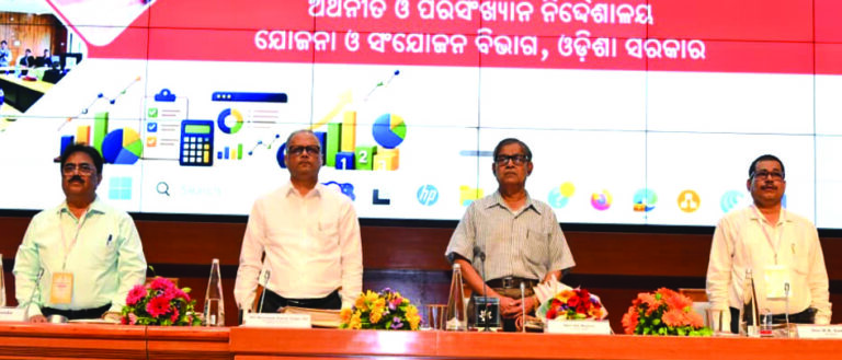 National Statistics day