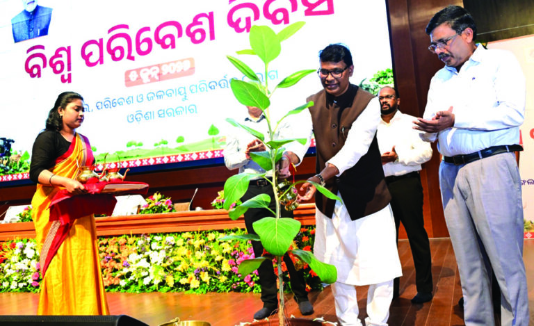 World Environment Day observed